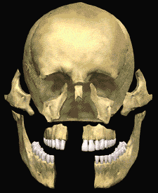 facial trauma surgery frisco